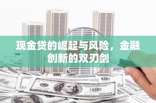 勉县现金贷的崛起与风险，金融创新的双刃剑