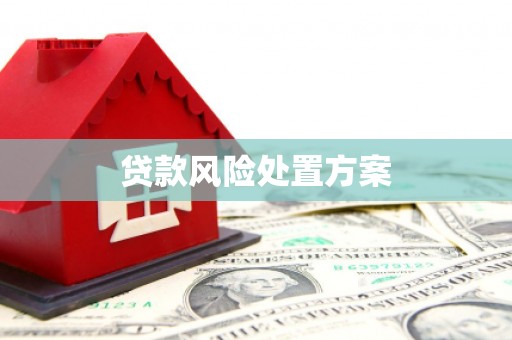 勉县贷款风险处置方案