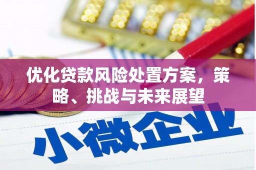 勉县优化贷款风险处置方案，策略、挑战与未来展望