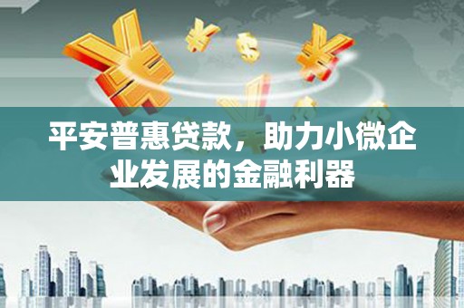 勉县平安普惠贷款，助力小微企业发展的金融利器