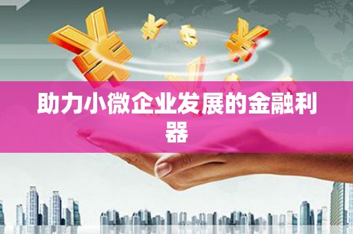 勉县助力小微企业发展的金融利器