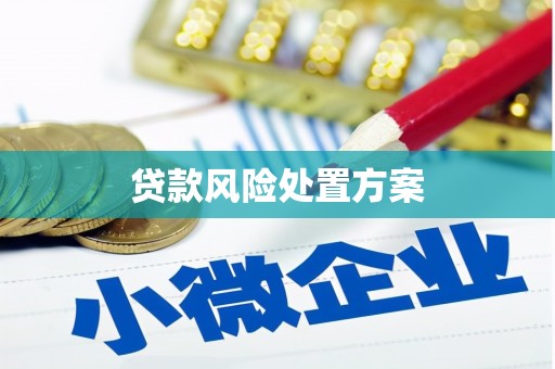 勉县贷款风险处置方案