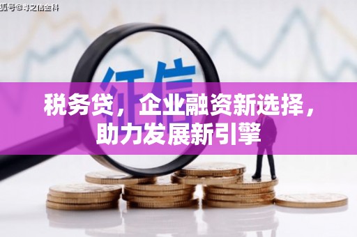 勉县税务贷，企业融资新选择，助力发展新引擎