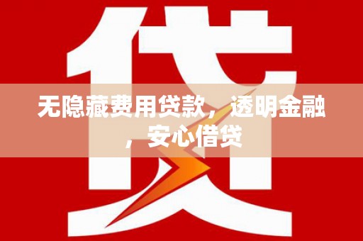 勉县无隐藏费用贷款，透明金融，安心借贷