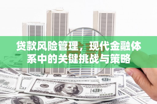 勉县贷款风险管理，现代金融体系中的关键挑战与策略
