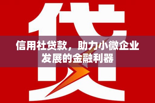 勉县信用社贷款，助力小微企业发展的金融利器