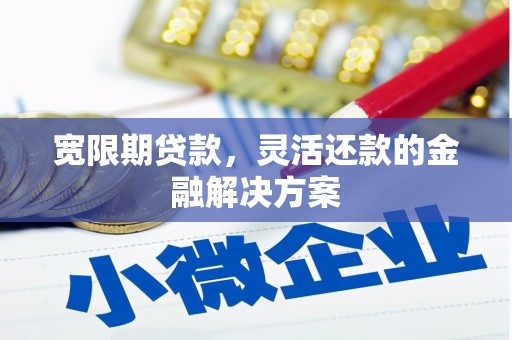 勉县宽限期贷款，灵活还款的金融解决方案