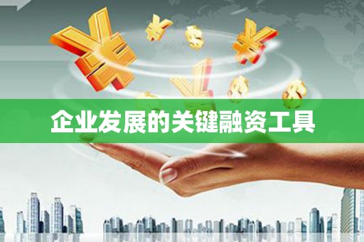 勉县企业发展的关键融资工具