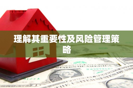勉县理解其重要性及风险管理策略