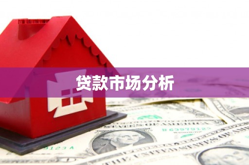 勉县贷款市场分析