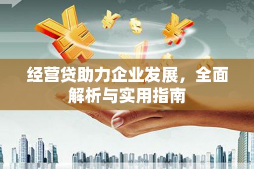 勉县经营贷助力企业发展，全面解析与实用指南