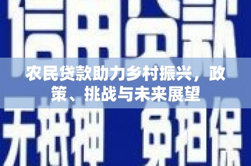 勉县农民贷款助力乡村振兴，政策、挑战与未来展望
