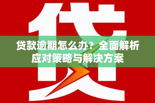 勉县贷款逾期怎么办？全面解析应对策略与解决方案