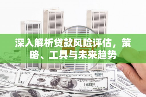 勉县深入解析贷款风险评估，策略、工具与未来趋势
