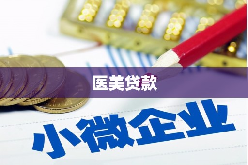 勉县医美贷款