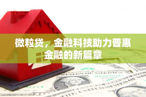 勉县微粒贷，金融科技助力普惠金融的新篇章