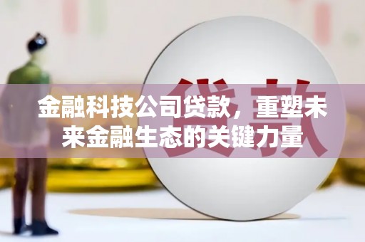 勉县金融科技公司贷款，重塑未来金融生态的关键力量