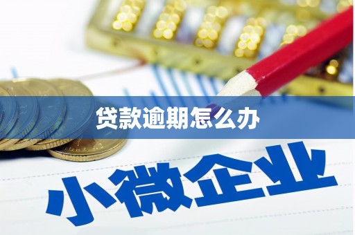 勉县贷款逾期怎么办