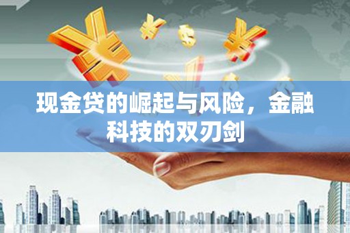 勉县现金贷的崛起与风险，金融科技的双刃剑