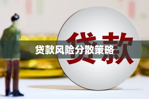 勉县贷款风险分散策略