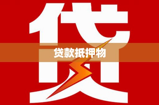 勉县贷款抵押物