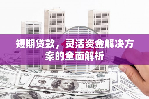 勉县短期贷款，灵活资金解决方案的全面解析