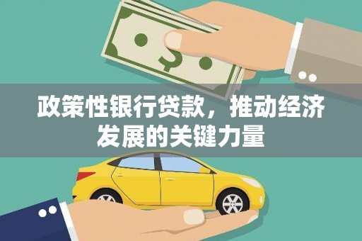勉县政策性银行贷款，推动经济发展的关键力量