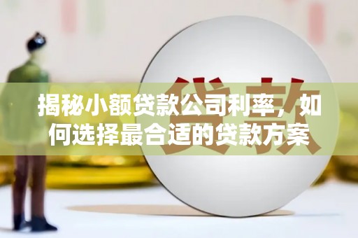 勉县揭秘小额贷款公司利率，如何选择最合适的贷款方案