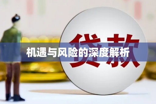 勉县机遇与风险的深度解析