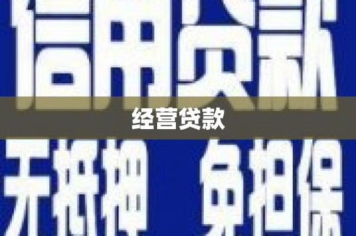 勉县经营贷款