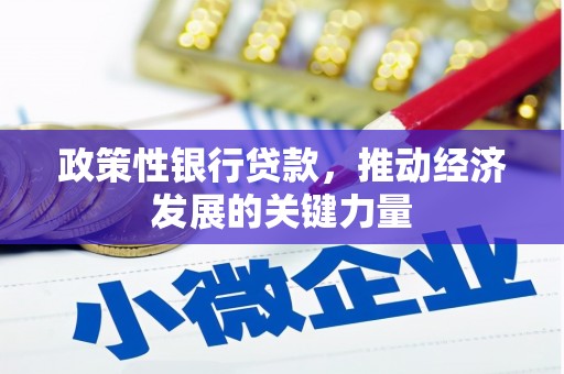 勉县政策性银行贷款，推动经济发展的关键力量