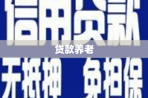 勉县贷款养老