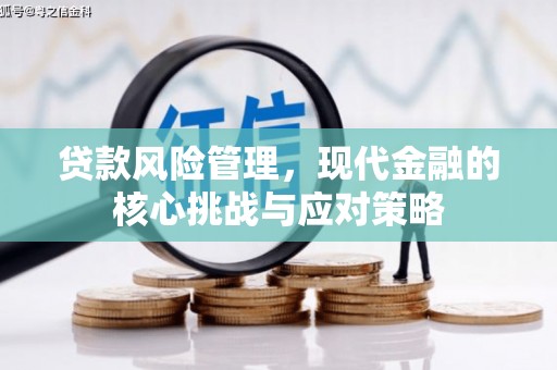 勉县贷款风险管理，现代金融的核心挑战与应对策略
