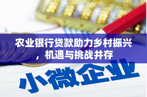勉县农业银行贷款助力乡村振兴，机遇与挑战并存