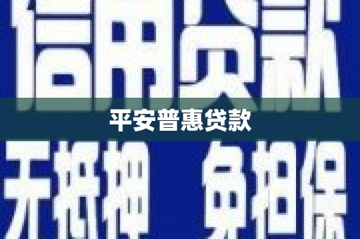 勉县平安普惠贷款