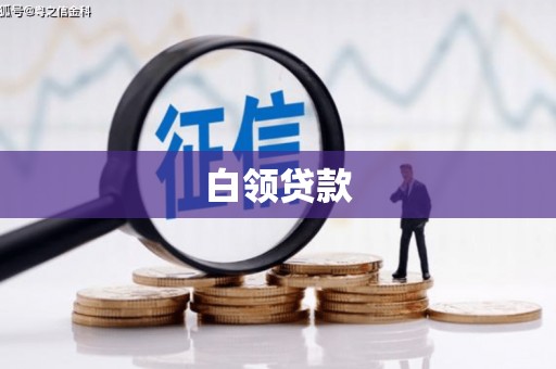 勉县白领贷款