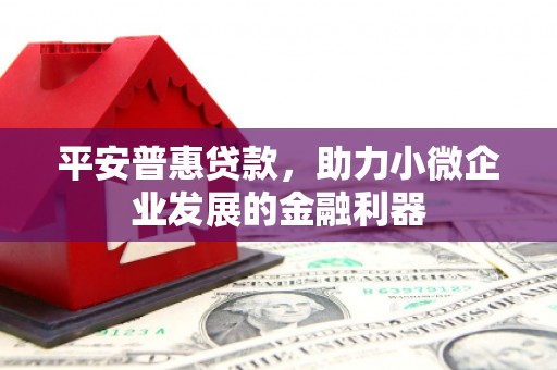勉县平安普惠贷款，助力小微企业发展的金融利器
