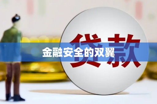 勉县金融安全的双翼