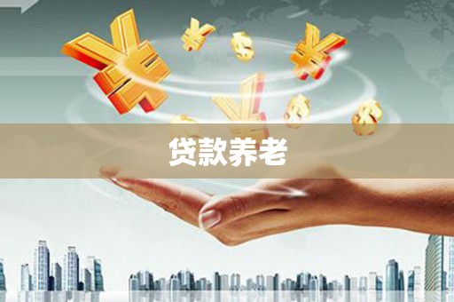 勉县贷款养老