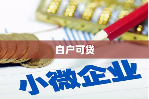 勉县白户可贷