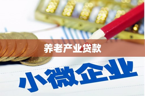 勉县养老产业贷款