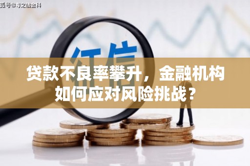 勉县贷款不良率攀升，金融机构如何应对风险挑战？