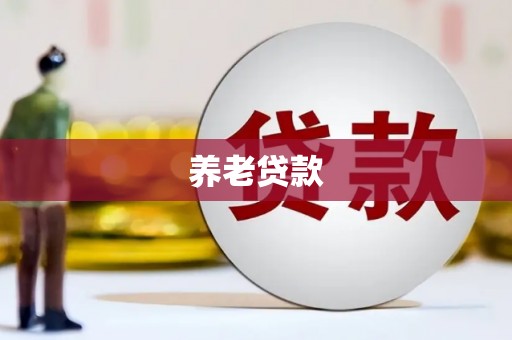 勉县养老贷款