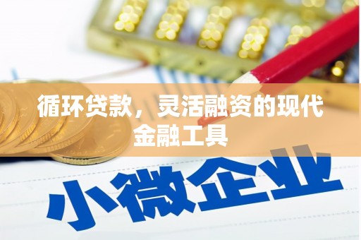 勉县循环贷款，灵活融资的现代金融工具