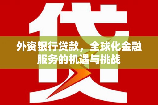 勉县外资银行贷款，全球化金融服务的机遇与挑战