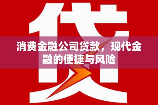 勉县消费金融公司贷款，现代金融的便捷与风险