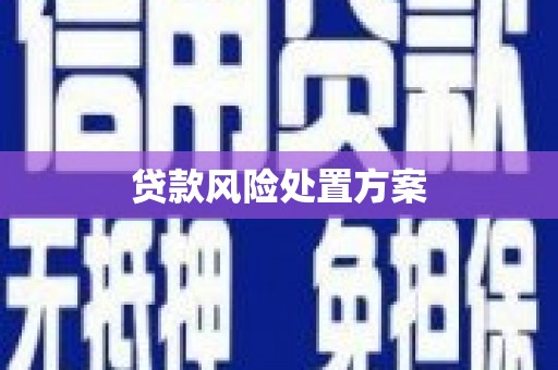 勉县贷款风险处置方案