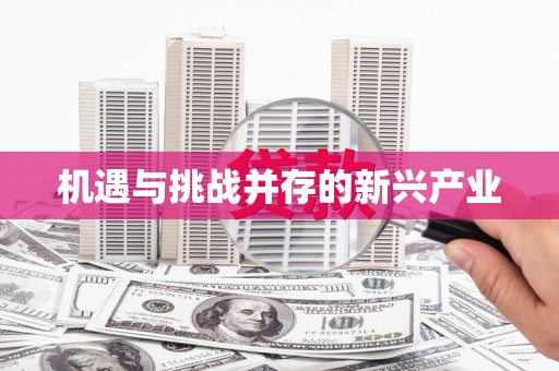 勉县机遇与挑战并存的新兴产业