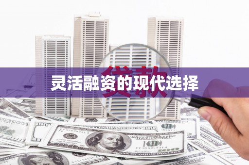 勉县灵活融资的现代选择
