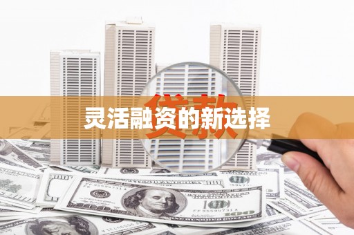 勉县灵活融资的新选择